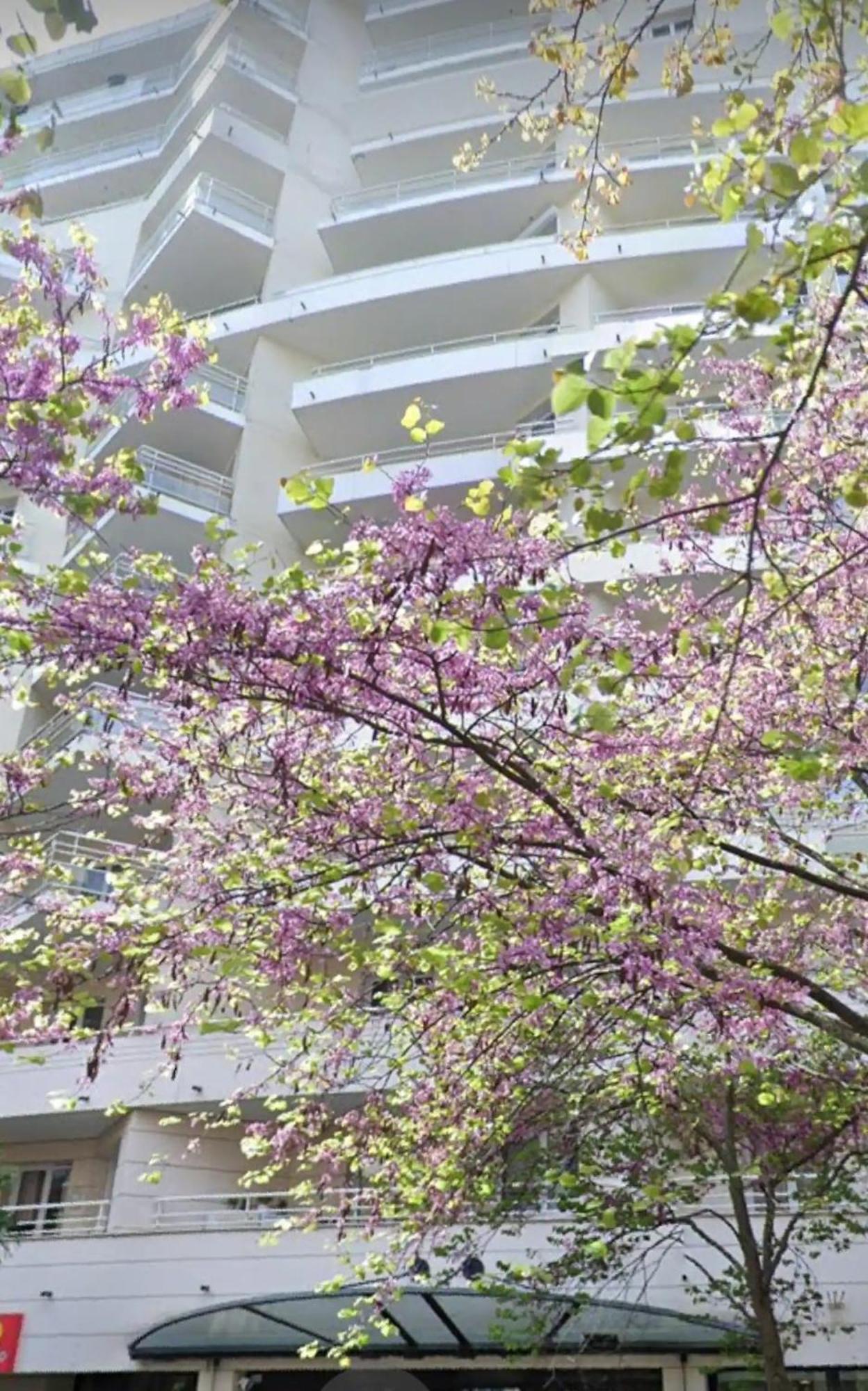 Mycityhaven Paris La Defense كوربوفوا المظهر الخارجي الصورة